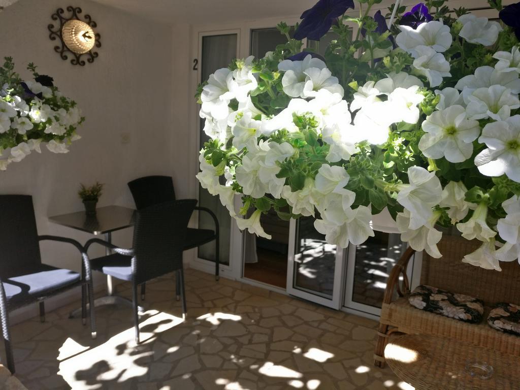 Apartments Ana - ロヴィニ エクステリア 写真
